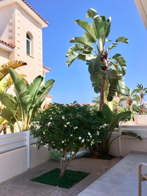 Palma Villa 14 Protaras Ngoại thất bức ảnh